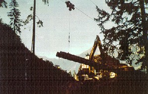 N&auml;f Baumw&auml;rter Glattfelden