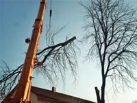 Affolter Forst GmbH